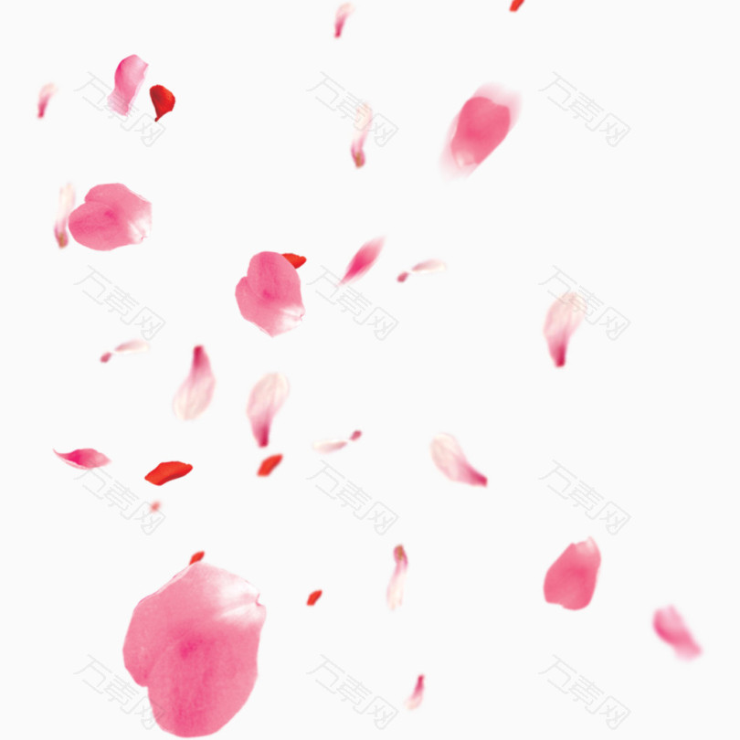 漂浮的樱花花瓣png免抠素材