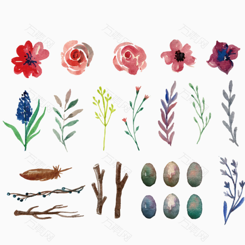 水彩绘植物和鸟蛋自然元素