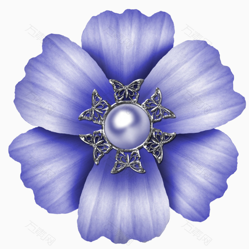 蓝紫色花朵