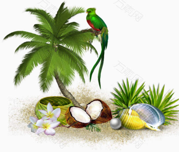 手绘椰子鹦鹉