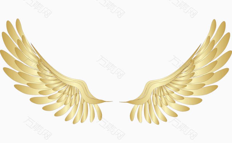 金色翅膀图片