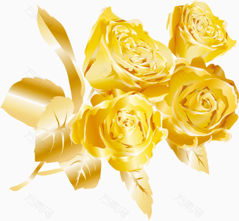 黄金色玫瑰花