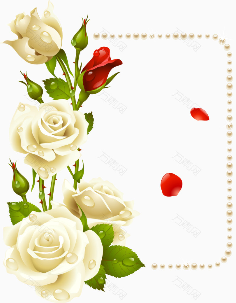 白色玫瑰花朵边框