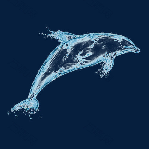 水滴海豚