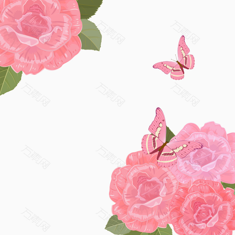 粉色玫瑰蝴蝶