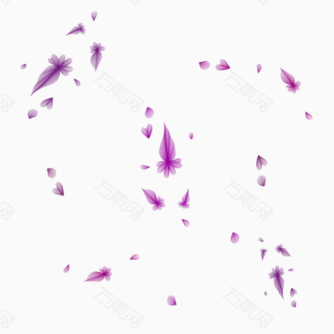 飘舞的紫色花朵