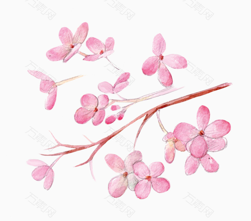 唯美清新森系水彩粉色花朵