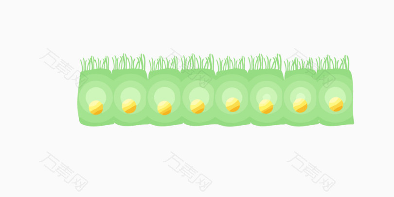 绿色细胞排列