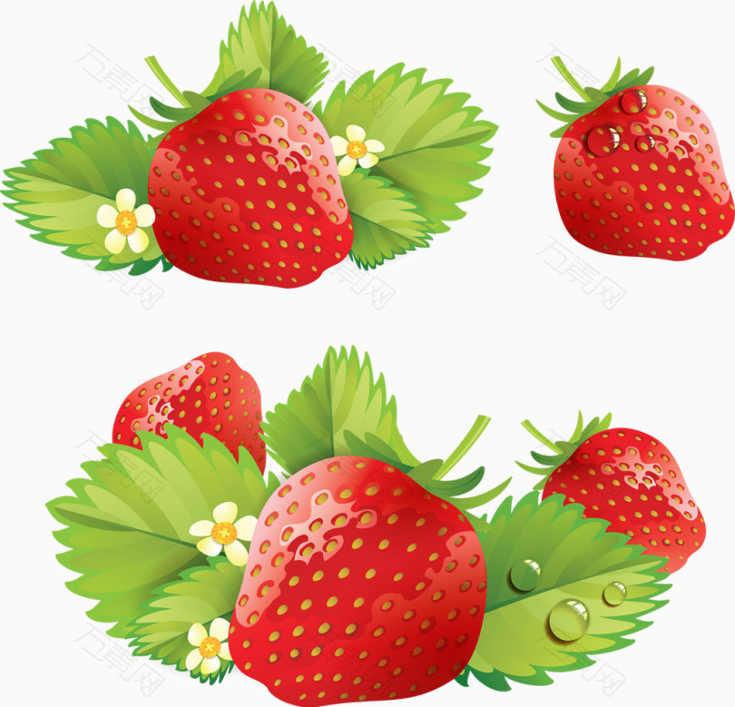 草莓草莓花叶子水彩卡通手绘