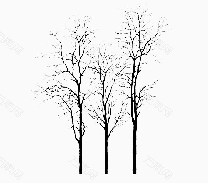 冬天三棵树干
