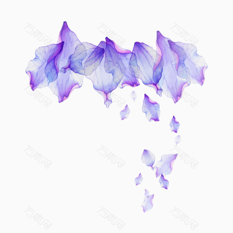 漂浮紫色花瓣
