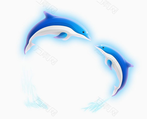 心形海豚图案