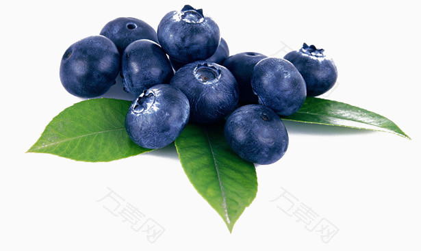 紫色黑加仑水果