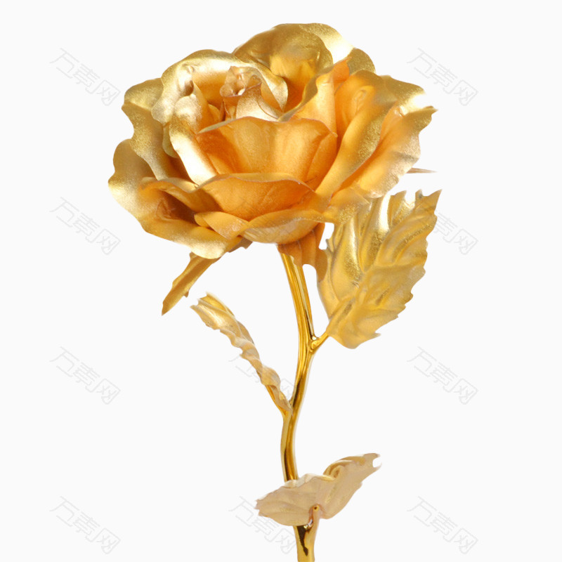 金箔玫瑰不会凋谢的玫瑰