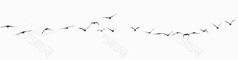 天空飞的鸟群黑影图片