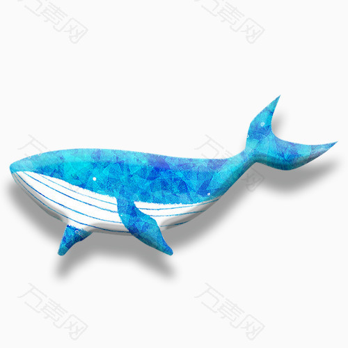 蓝色花纹的鲸鱼