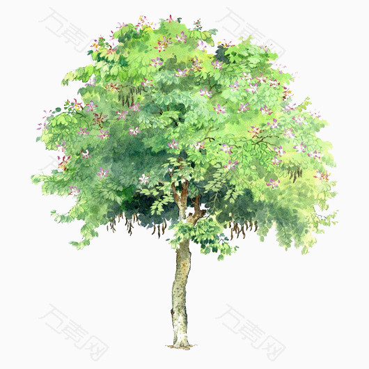 透明树木元素树木