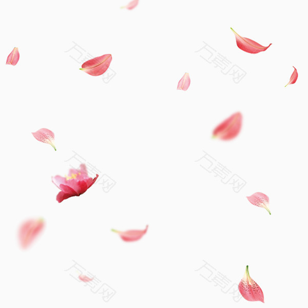 漂浮的粉色花瓣素材