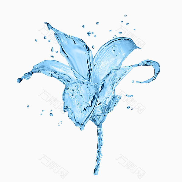 蓝色冰百合花
