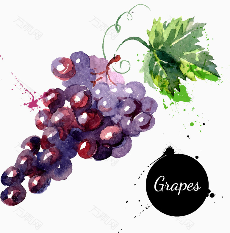 卡通手绘水彩水果葡萄