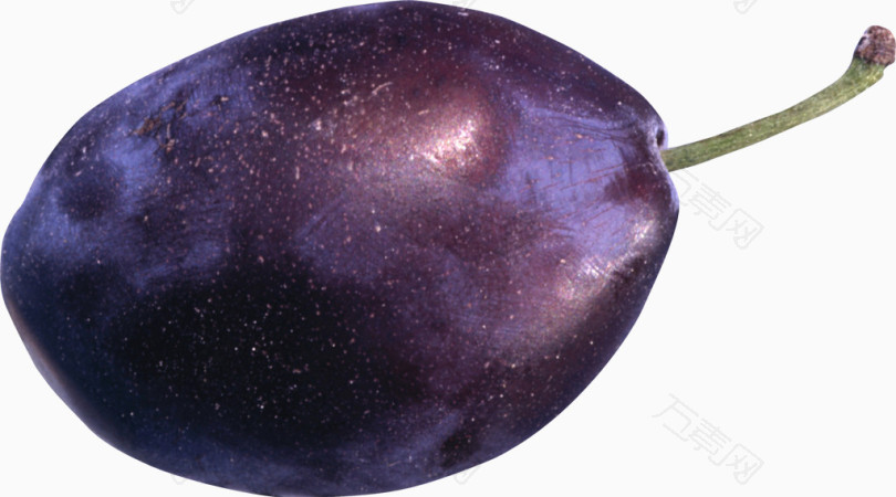 水果紫色石榴