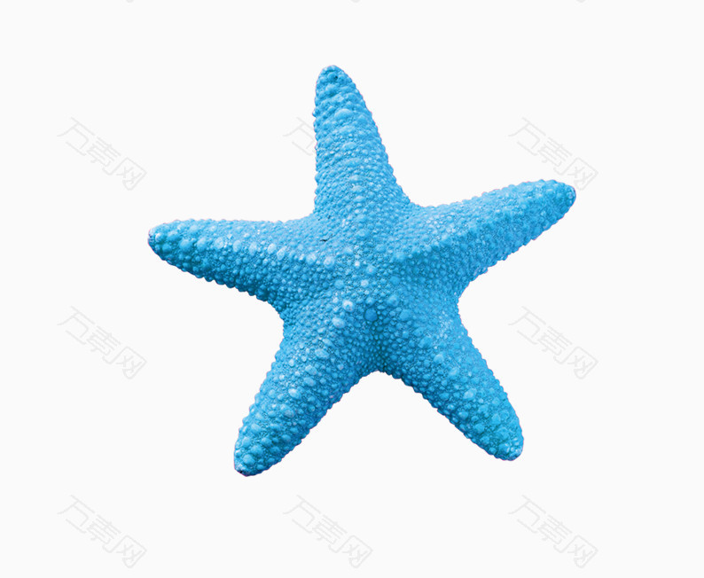 蓝色海星素材图片