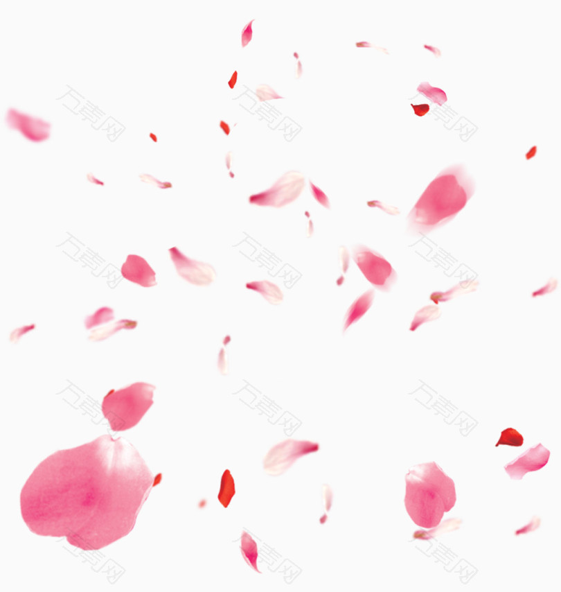 粉红色的花瓣