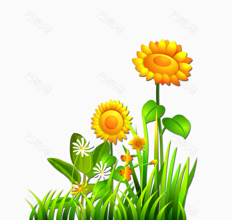 草丛太阳花