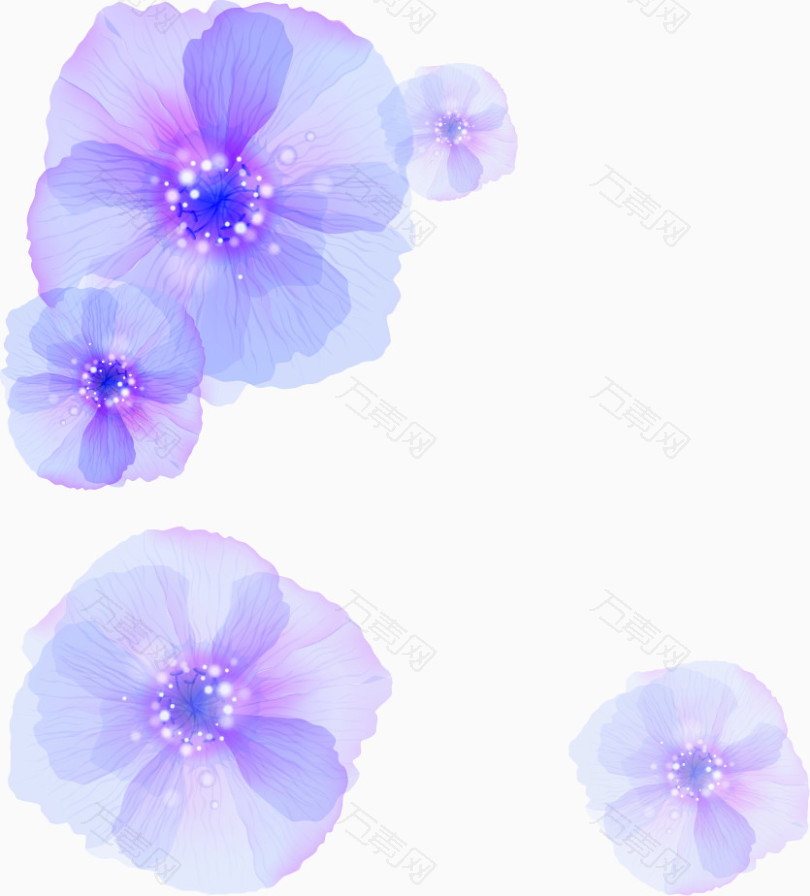 紫色梦幻花