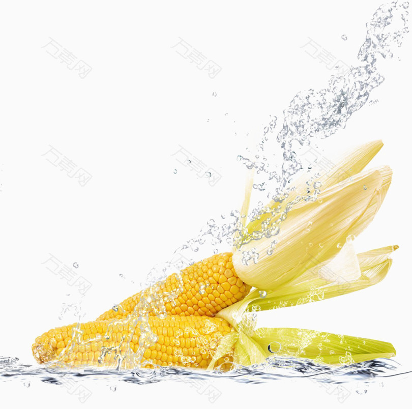玉米与水