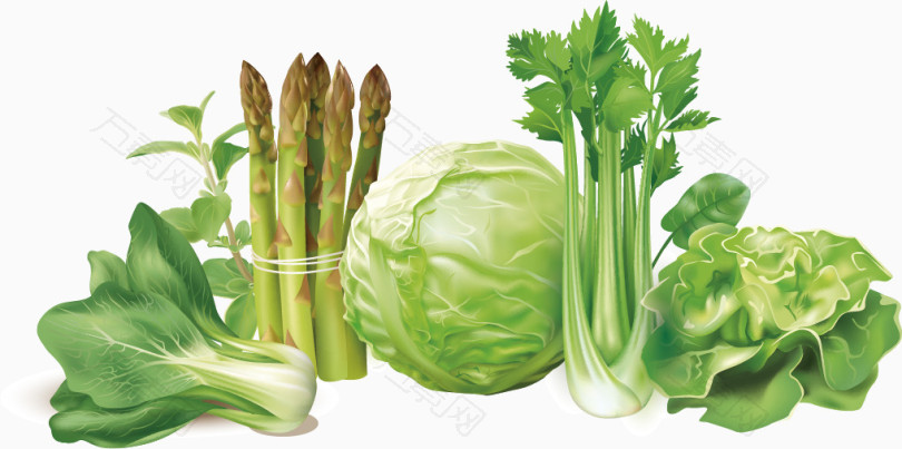 芹菜包菜蔬菜