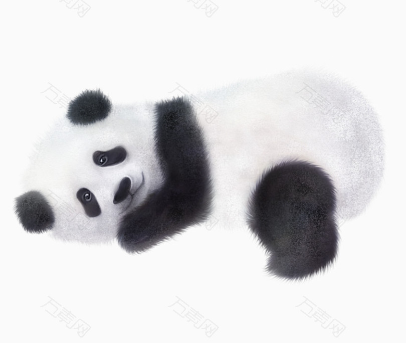 手绘黑白国宝熊猫