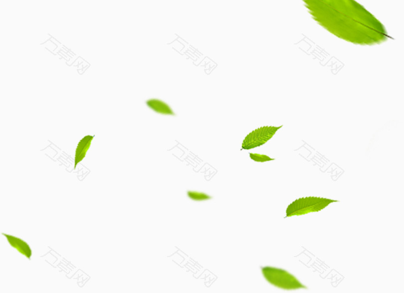 绿色漂浮树叶素材