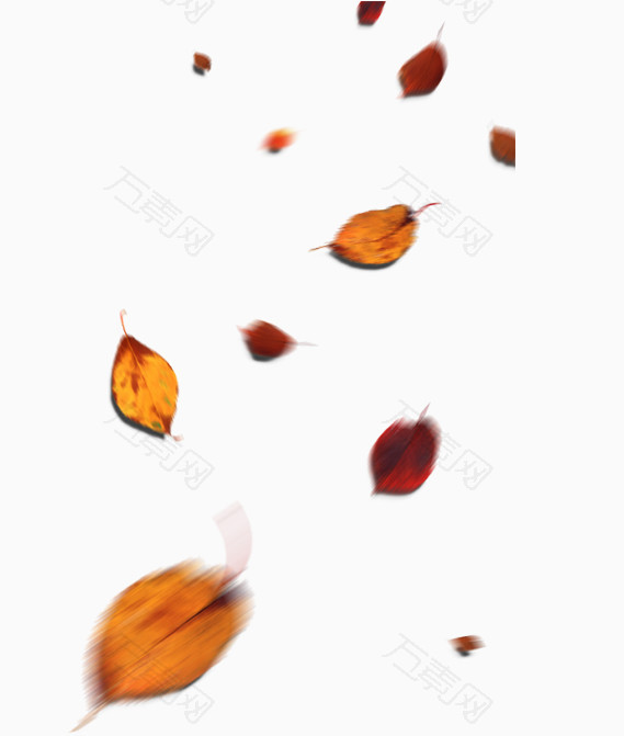 飘落秋天树叶