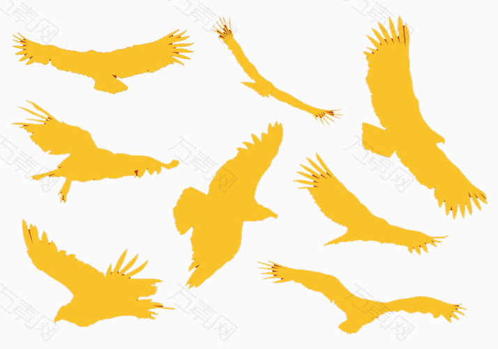 黄色纯色鸟类老鹰