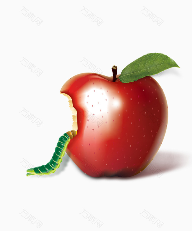 苹果上的小青虫