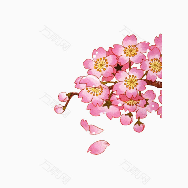 手绘粉红桃花