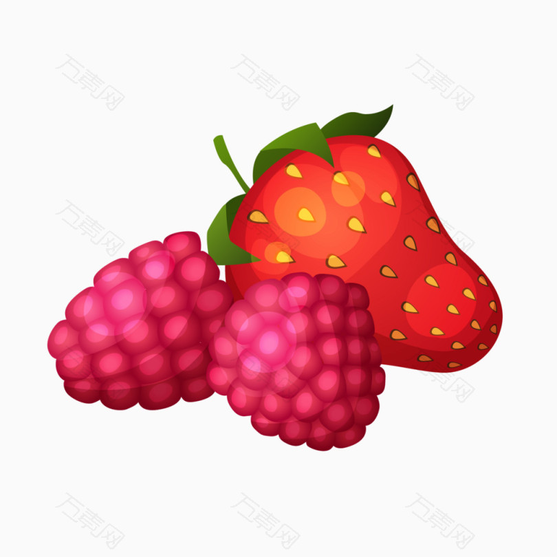 手绘树莓草莓