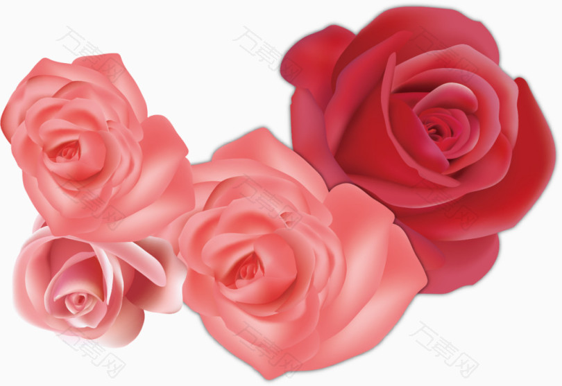 粉色玫瑰花海素材