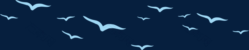蓝色海鸥