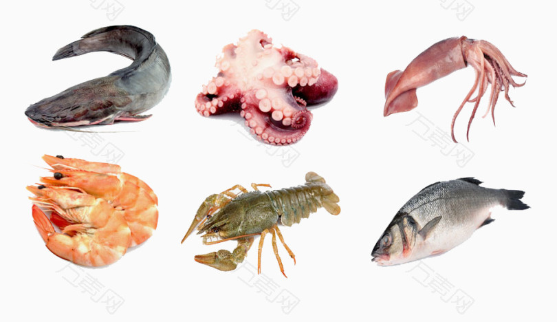 各种海鲜类食品