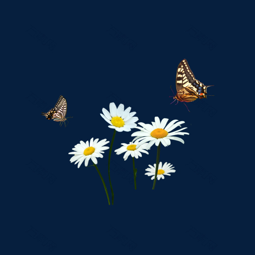 手绘花和飞旋的蝴蝶