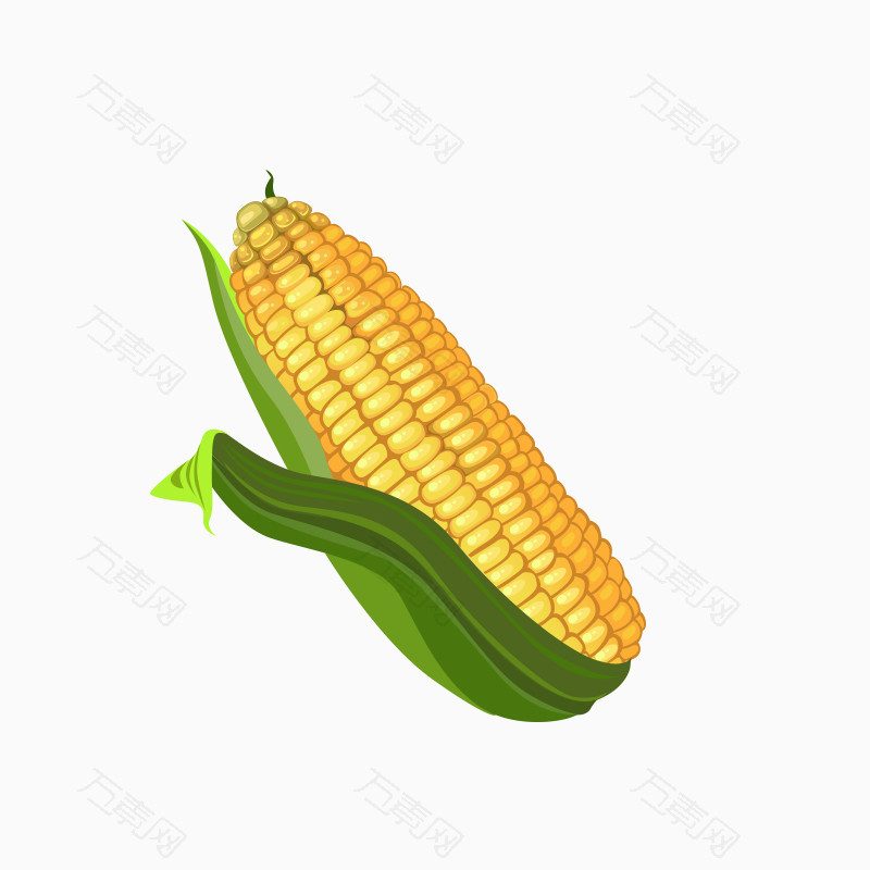卡通清新玉米农作物