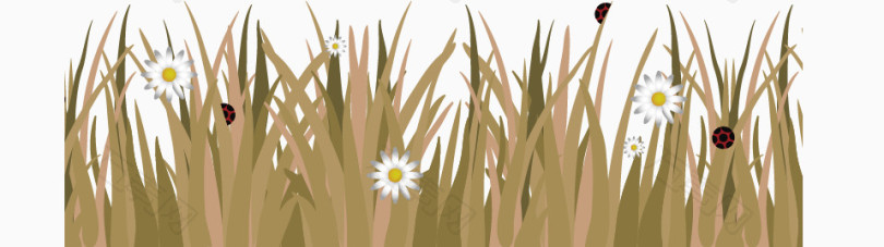 草丛里的白花
