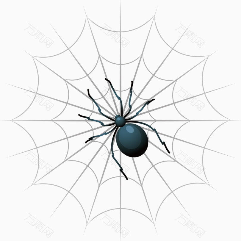 矢量创意设计蜘蛛网和蜘蛛图标