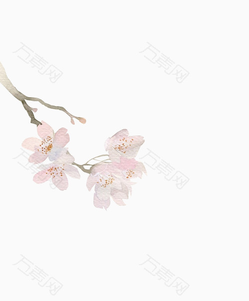 淡粉色树梢樱花