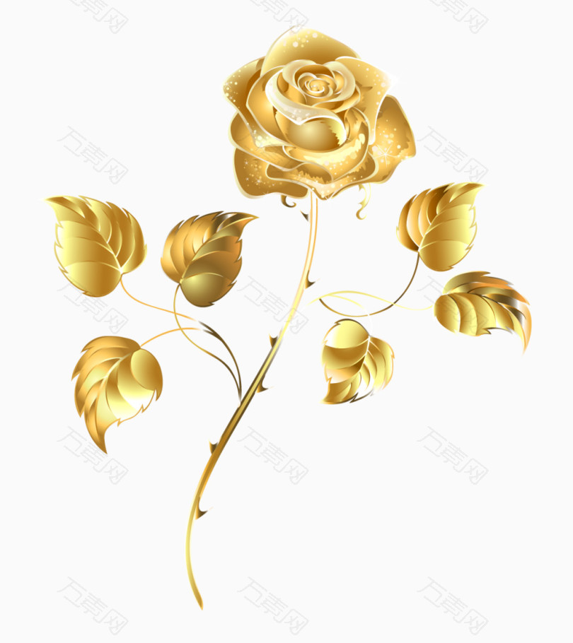 金色玫瑰元素