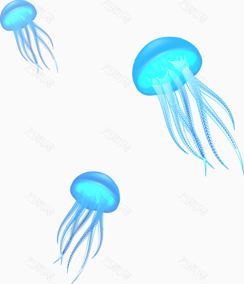 蓝色的水母