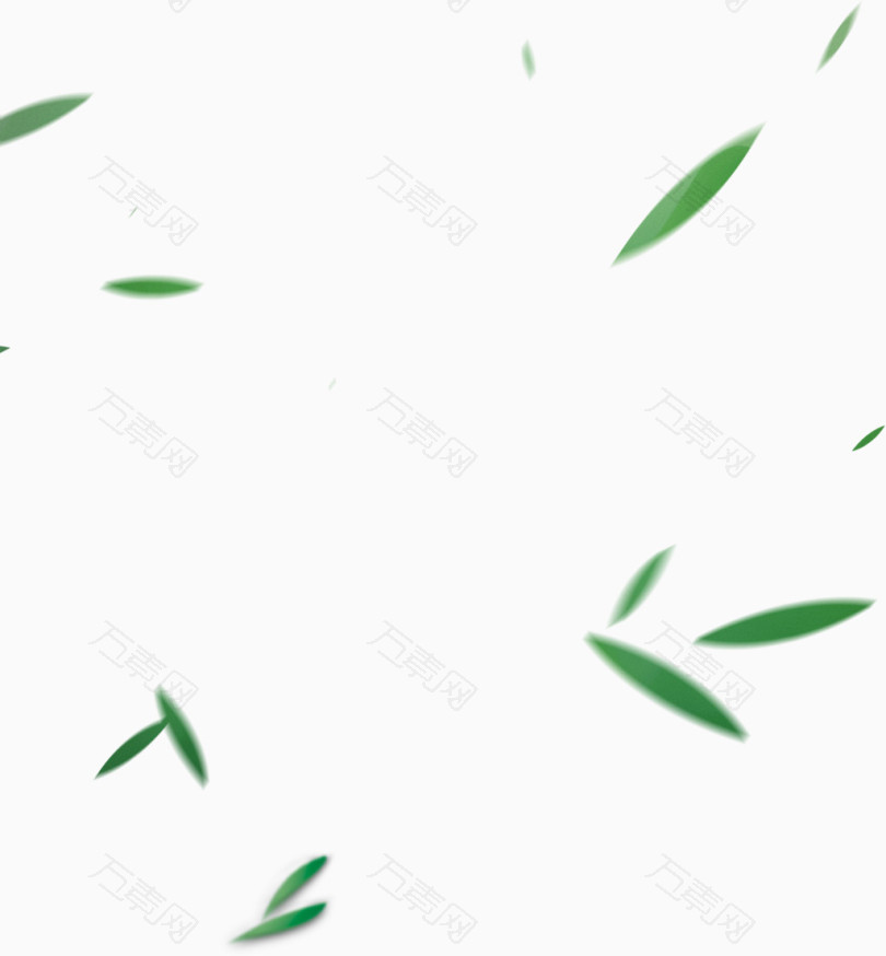 绿色漂浮的竹叶