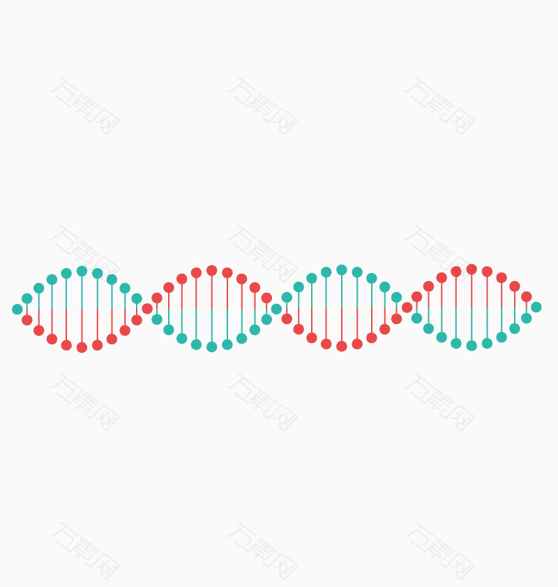 矢量DNA